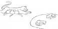 Dibujos de Gatitos durmiendo con su mamá para colorear e imprimir