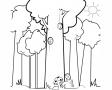 Dibujos de Ardillas en el bosque para colorear e imprimir