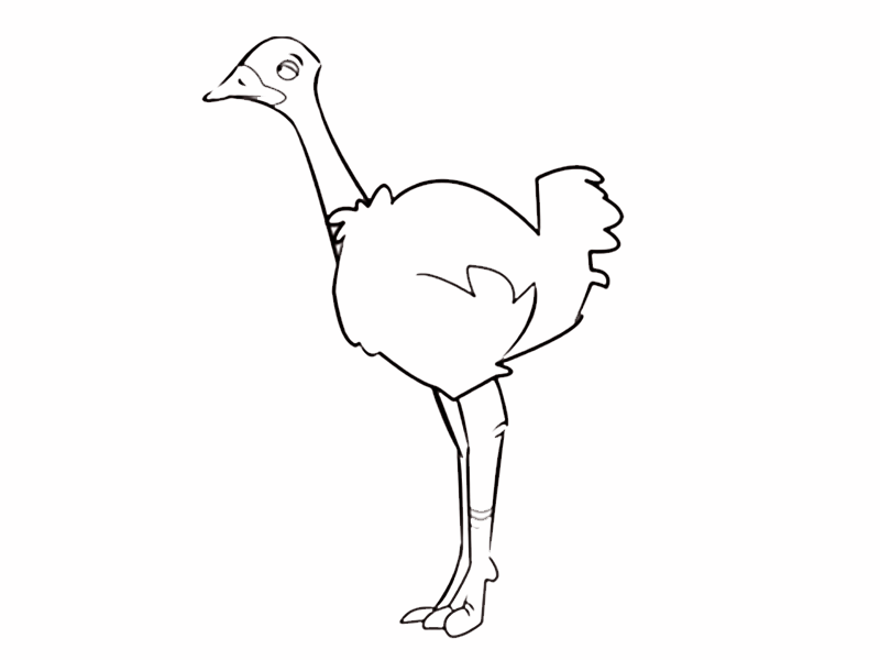 assets/images/dibujos/Dibujos_ninosyninas/avestruz.gif