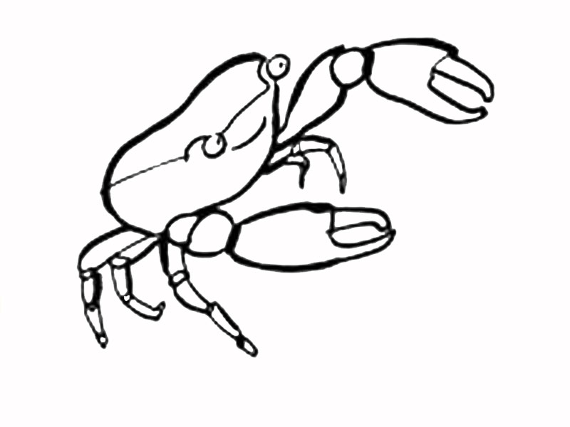 assets/images/dibujos/Dibujos_ninosyninas/cangrejo.jpg