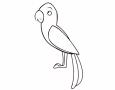 Dibujos de Loro de perfil para colorear e imprimir