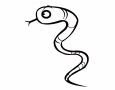 Serpiente de perfil