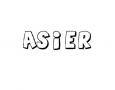 ASIER