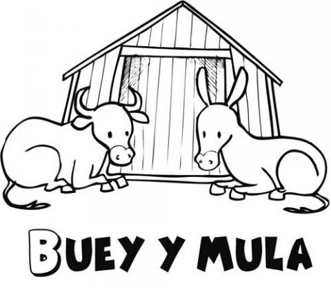 assets/images/dibujos/b/buey_y_mula_1_g_thumb_480x480.jpg