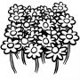 Campo de flores