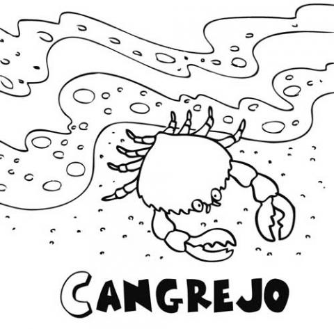 Cangrejo - Dibujos para Colorear de Animales para Imprimir