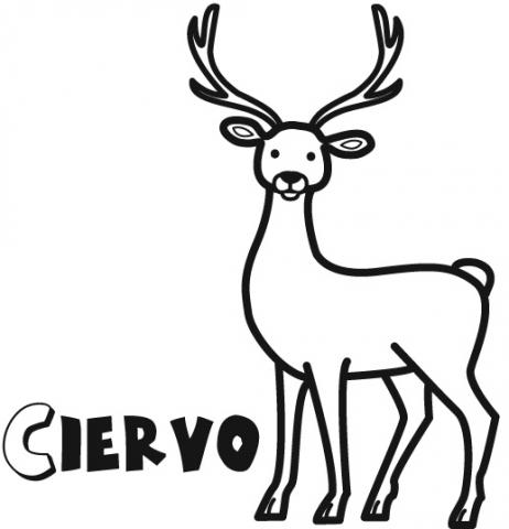 assets/images/dibujos/c/ciervo_1_g_thumb_480x480.jpg