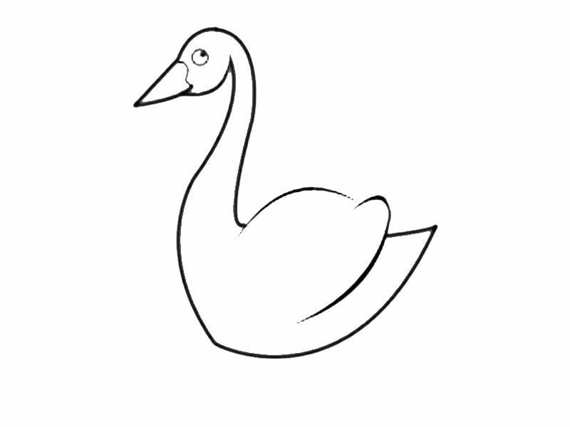 Cisnes Dibujos Para Colorear Pareja De Patos Enamorados Picture ...