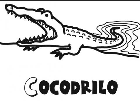 assets/images/dibujos/c/cocodrilo_1_g_thumb_480x480.jpg