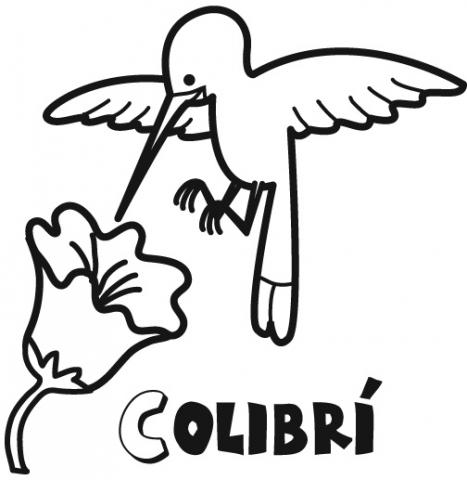 assets/images/dibujos/c/colibri_1_g_thumb_480x480.jpg