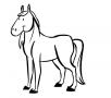Dibujos de Caballo sonriendo para colorear e imprimir