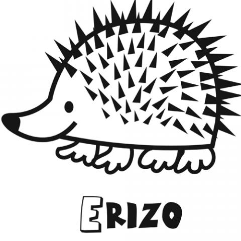 assets/images/dibujos/e/erizo_2_g_thumb_480x480.gif