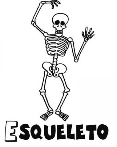 assets/images/dibujos/e/esqueleto_1_g_thumb_480x480.jpg