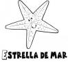 Dibujos de Estrella de mar para colorear e imprimir