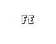 FE