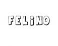 FELINO