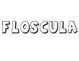 FLÓSCULA