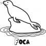 Dibujos de Foca para colorear e imprimir