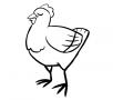 Dibujos de Gallina para colorear e imprimir