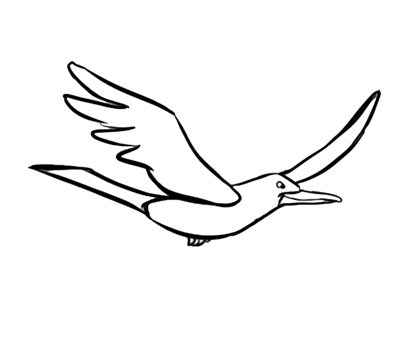 assets/images/dibujos/g/dibujo_gaviota.gif