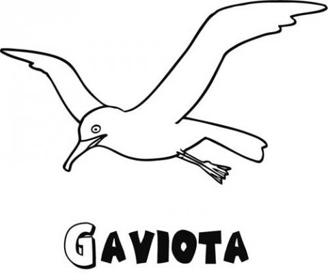 assets/images/dibujos/g/gaviota_1_g_thumb_480x480.jpg