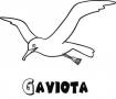 Dibujos de Gaviota para colorear e imprimir