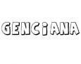 GENCIANA