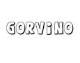GORVINO