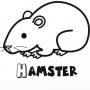 Dibujos de Hamster para colorear e imprimir