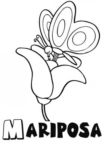 assets/images/dibujos/m/mariposa_sobre_una_flor_1_g_thumb_480x480.jpg