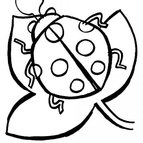 assets/images/dibujos/m/mariquita_1_g_thumb_480x480.gif