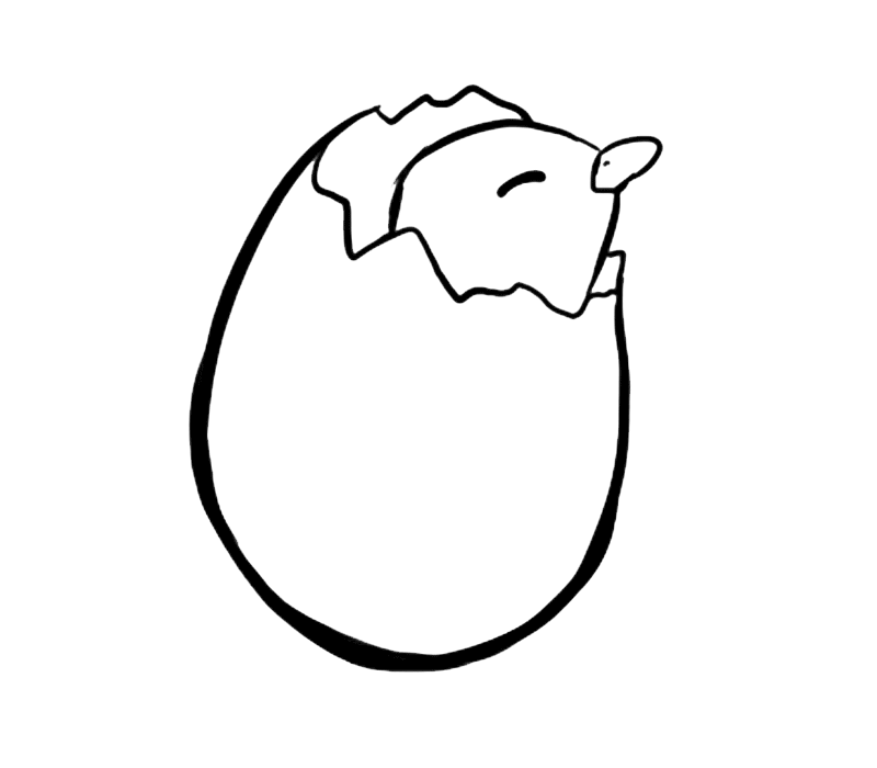 Dibujos para colorear de animales que nacen del huevo - Imagui