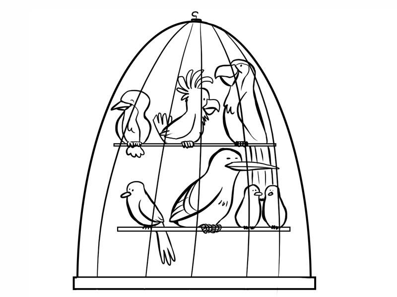 assets/images/dibujos/p/pajarera.gif