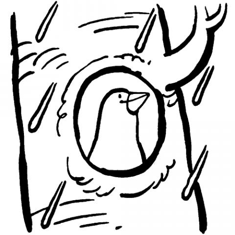 assets/images/dibujos/p/pajaro_dentro_de_un_arbol_1_g_thumb_480x480.gif