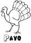 Pavo