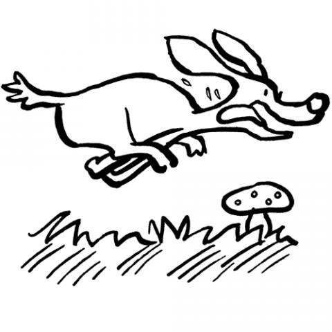 assets/images/dibujos/p/perro_corriendo_1_g_thumb_480x480.gif