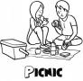 Picnic