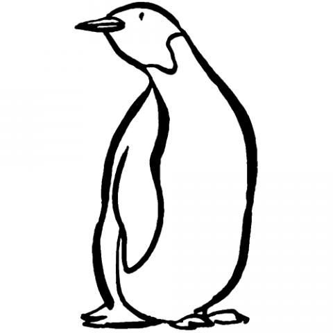 assets/images/dibujos/p/pinguino_1_g_thumb_480x480.gif