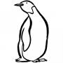 Dibujos de Pingüino para colorear e imprimir