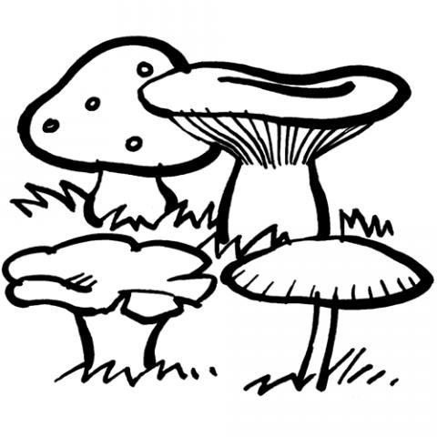 assets/images/dibujos/s/setas_1_g_thumb_480x480.gif