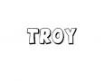 TROY