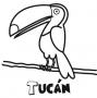 Dibujos de Tucán para colorear e imprimir
