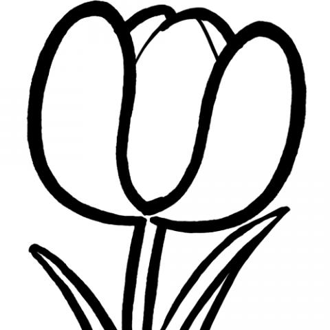 assets/images/dibujos/t/tulipan_2_g_thumb_480x480.jpg
