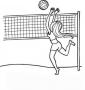 Voleibol