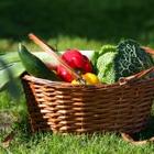 La alimentación durante el embarazo para mujeres vegetarianas
