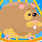 Run Run Hamster