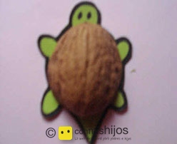 assets/images/manualidades/101_ma_101_manualidad_tortuga_g.jpg