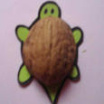 Manualidades infantiles TORTUGA DE CáSCARA DE NUEZ