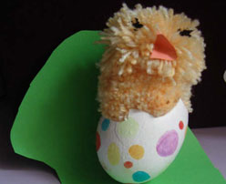 Pollito en su cáscara