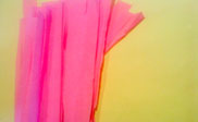 assets/images/manualidades/19_manualidad_pelucarosa_2.jpg